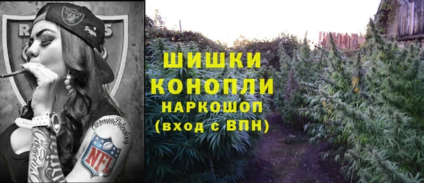 спайс Мегион