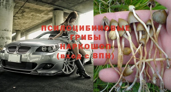 спайс Мегион